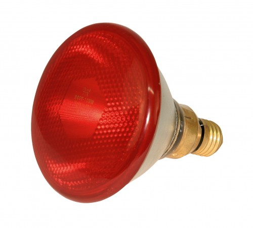 Infrarot-Sparlampe PAR38, 175W, rot